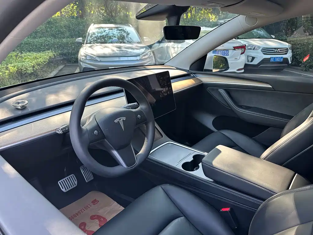 Tesla Model Y — миниатюра 10