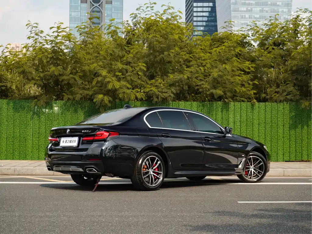 BMW 5 Series — миниатюра 5