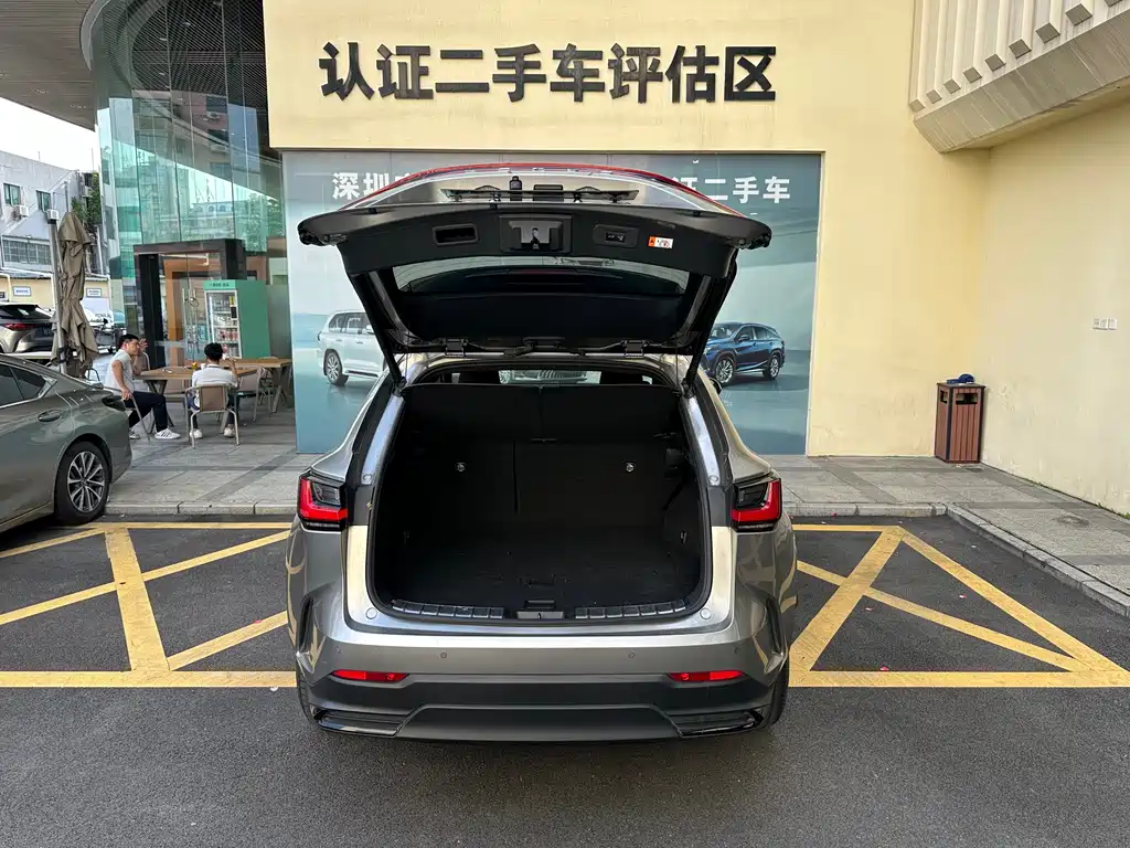 Lexus NX New Energy — миниатюра 21