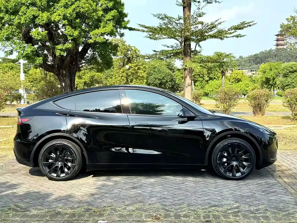 Tesla Model Y — миниатюра 12