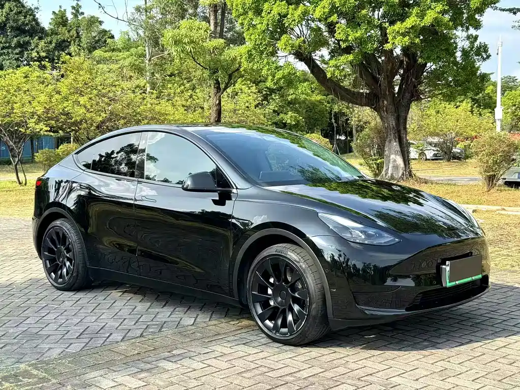Tesla Model Y — миниатюра 11