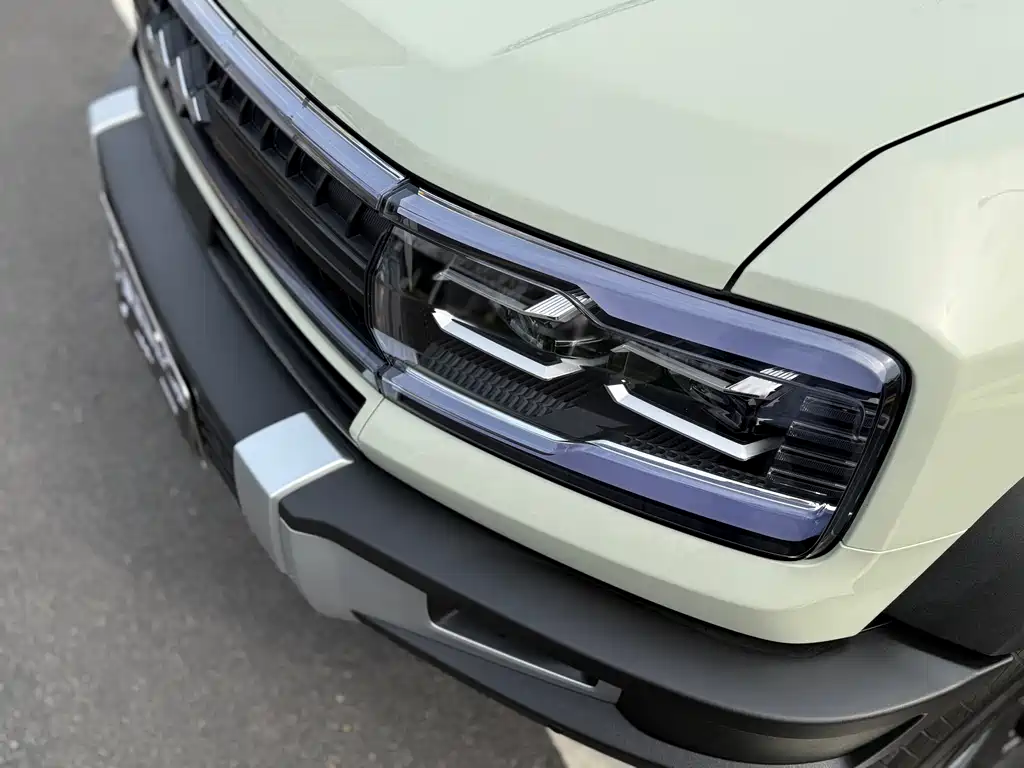 FANG CHENG BAO LEOPARD 5