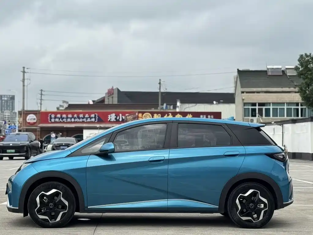 BYD Dolphin — миниатюра 3