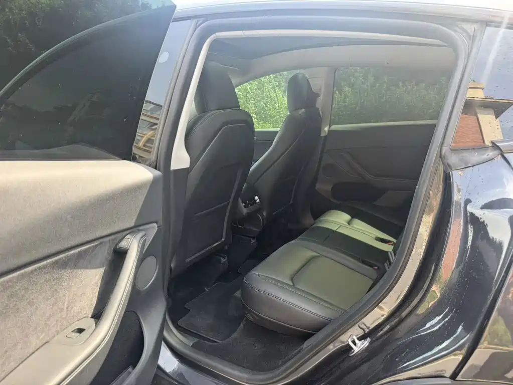 Tesla Model Y — миниатюра 6