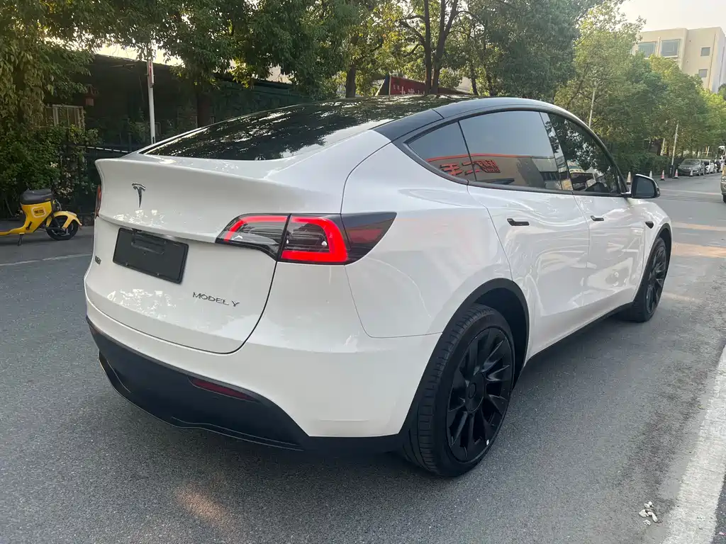 Tesla Model Y — миниатюра 4