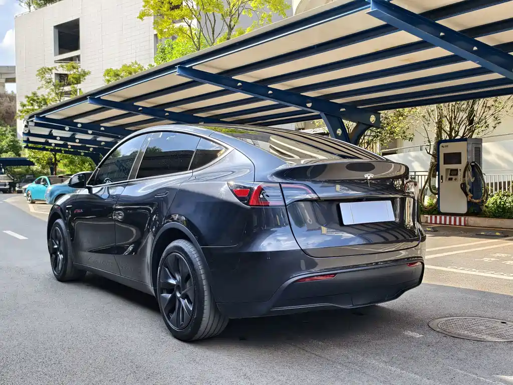 Tesla Model Y — миниатюра 14