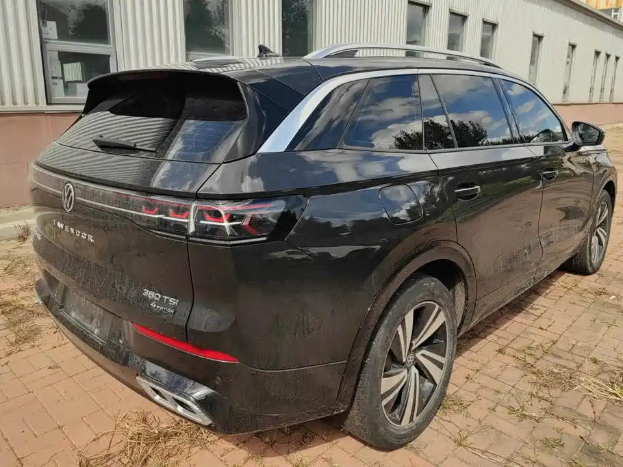 Volkswagen Tavendor — миниатюра 3