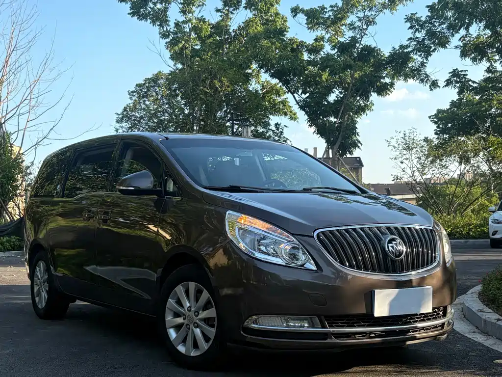 Buick GL8 — миниатюра 3