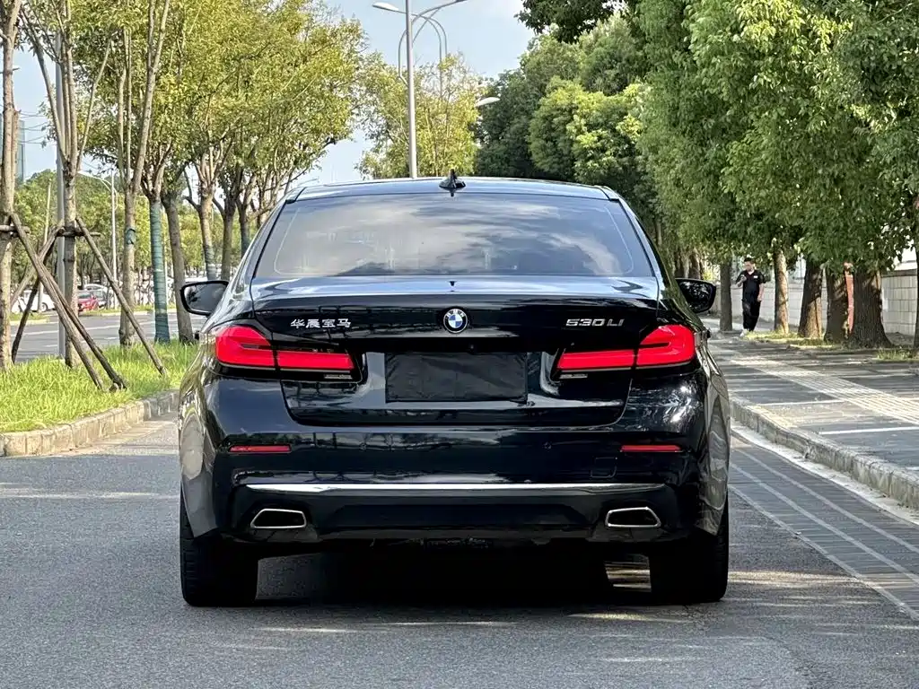 BMW 5 Series — миниатюра 8