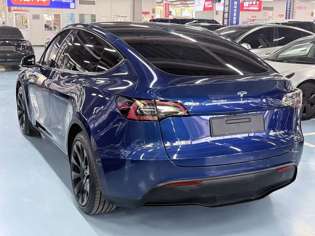 Tesla Model Y — миниатюра 4