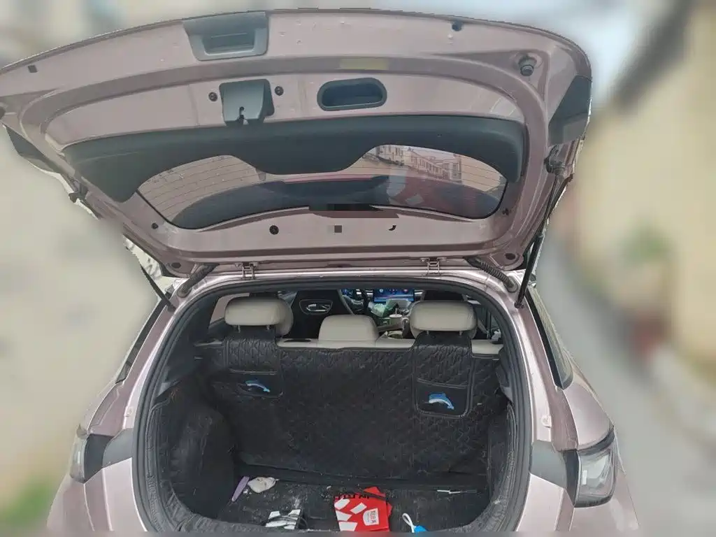 BYD Dolphin — миниатюра 15
