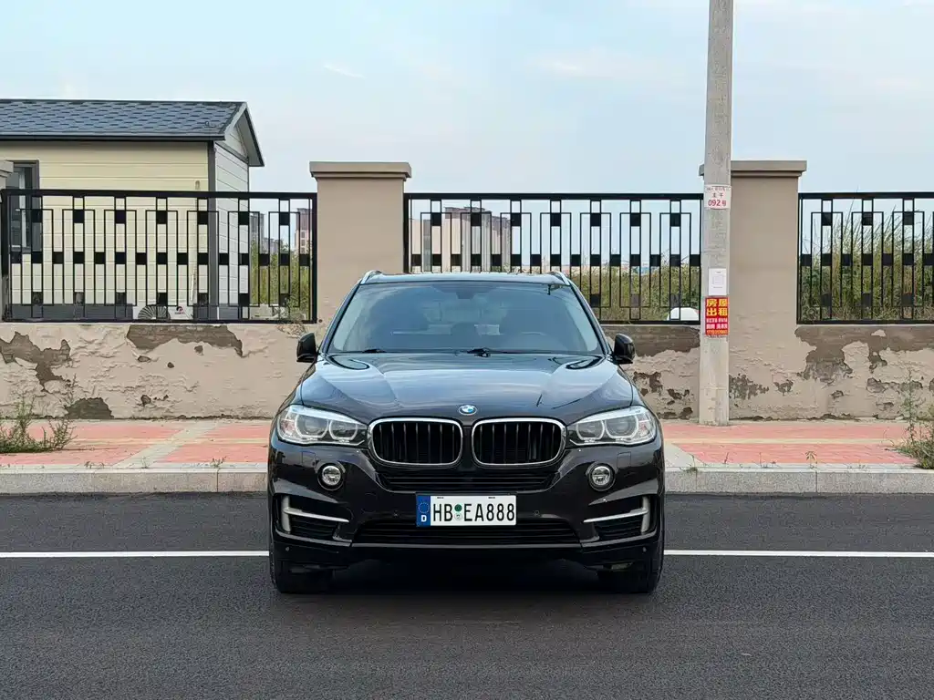 BMW X5 (Import) — миниатюра 2