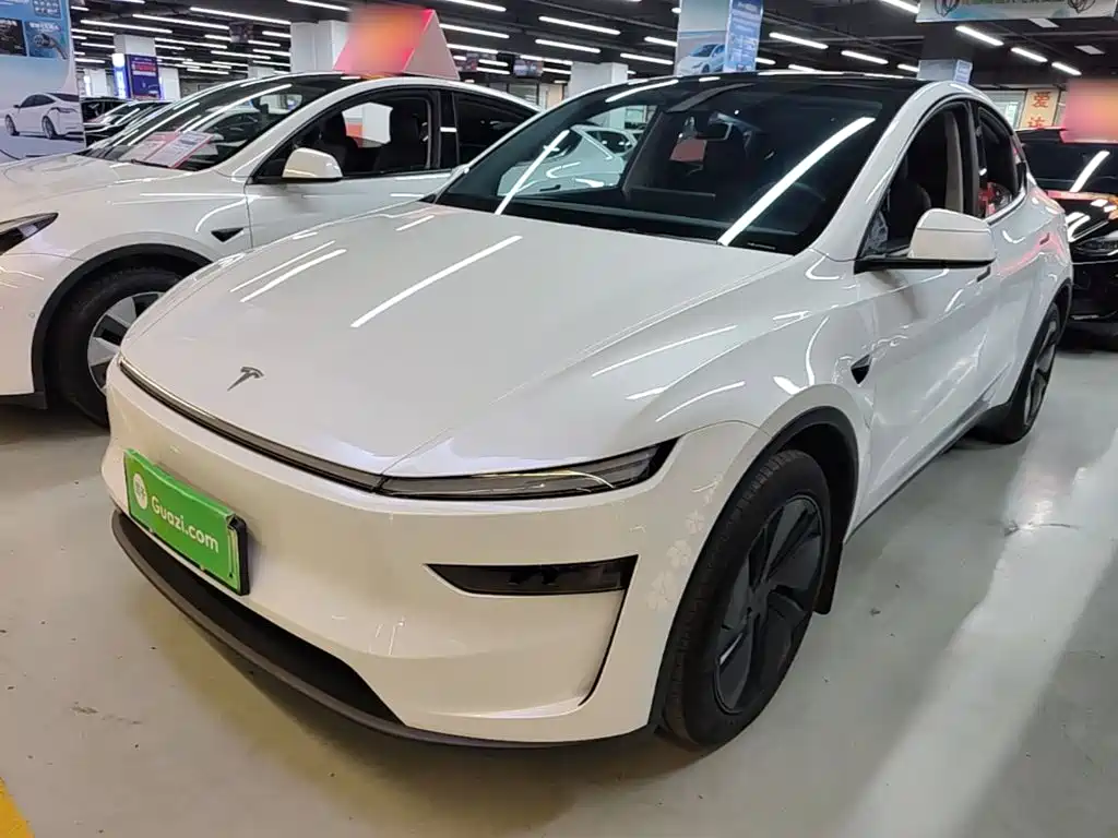 Tesla Model Y — миниатюра 2