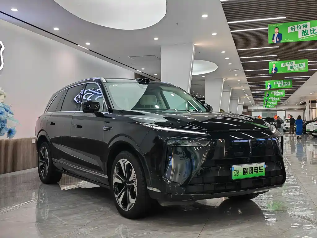 WEI PAI WEI BRAND BLUE MOUNTAIN