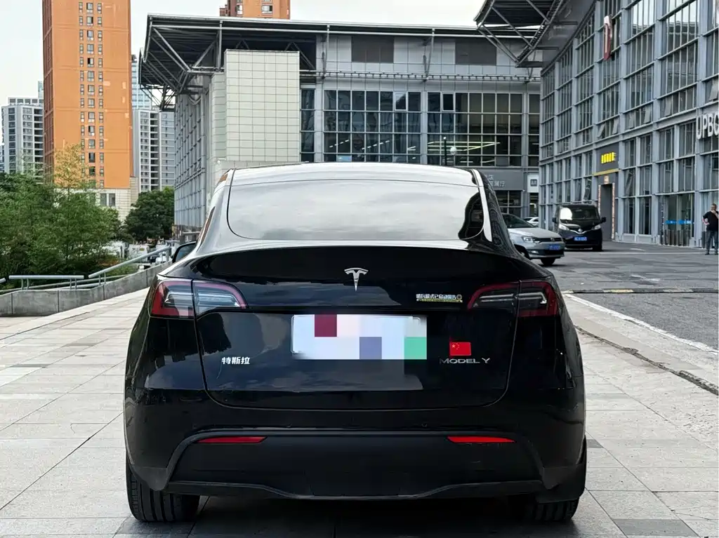 Tesla Model Y — миниатюра 5