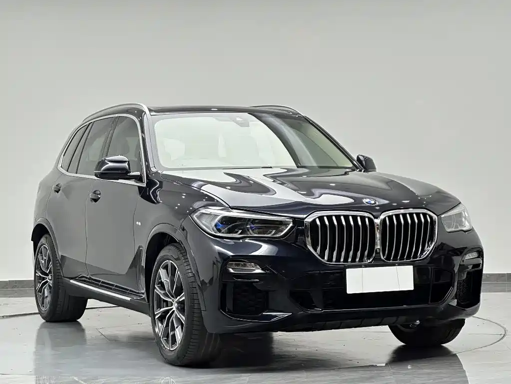BMW X5 (Import) — миниатюра 2