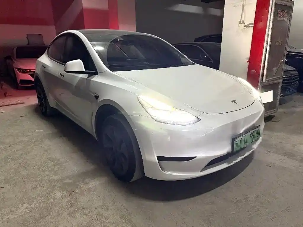Tesla Model Y — миниатюра 2