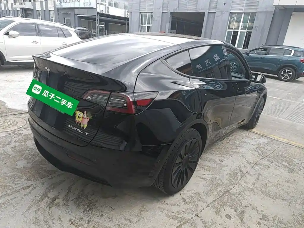 Tesla Model Y — миниатюра 7