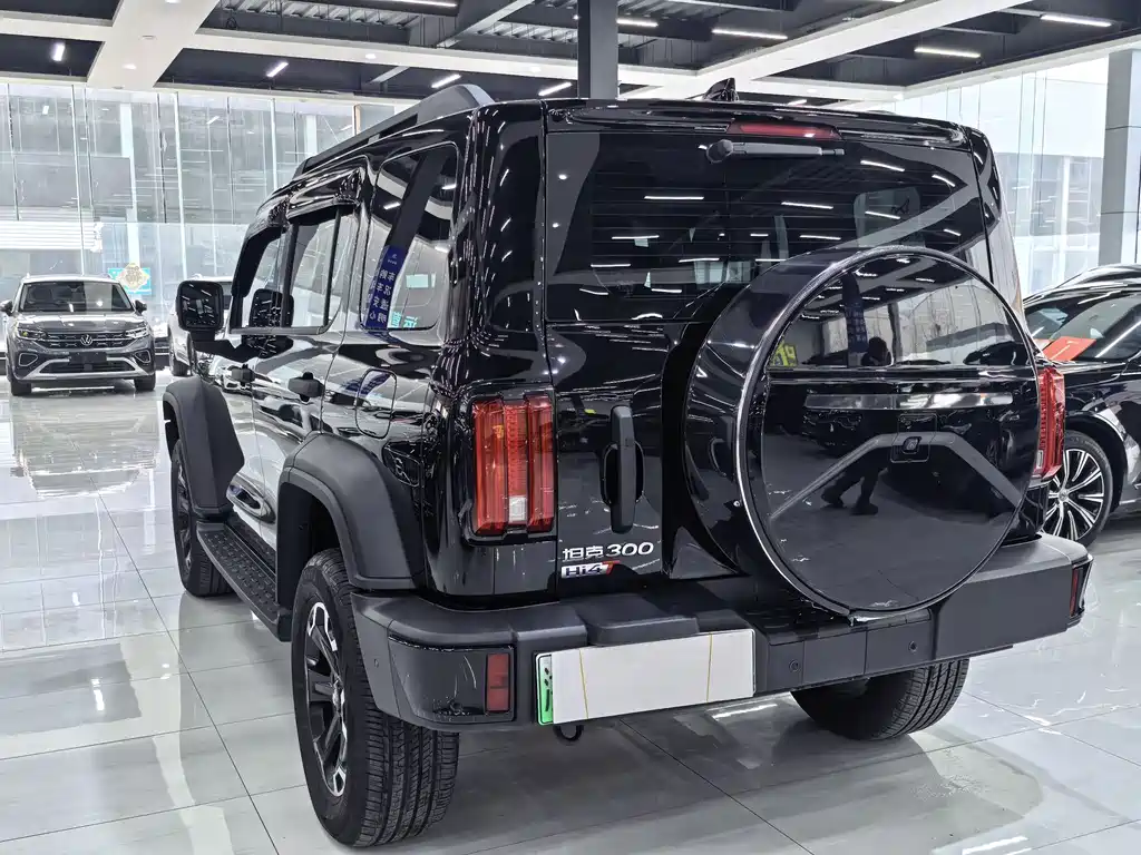 TANK TANK 300 NEW ENERGY