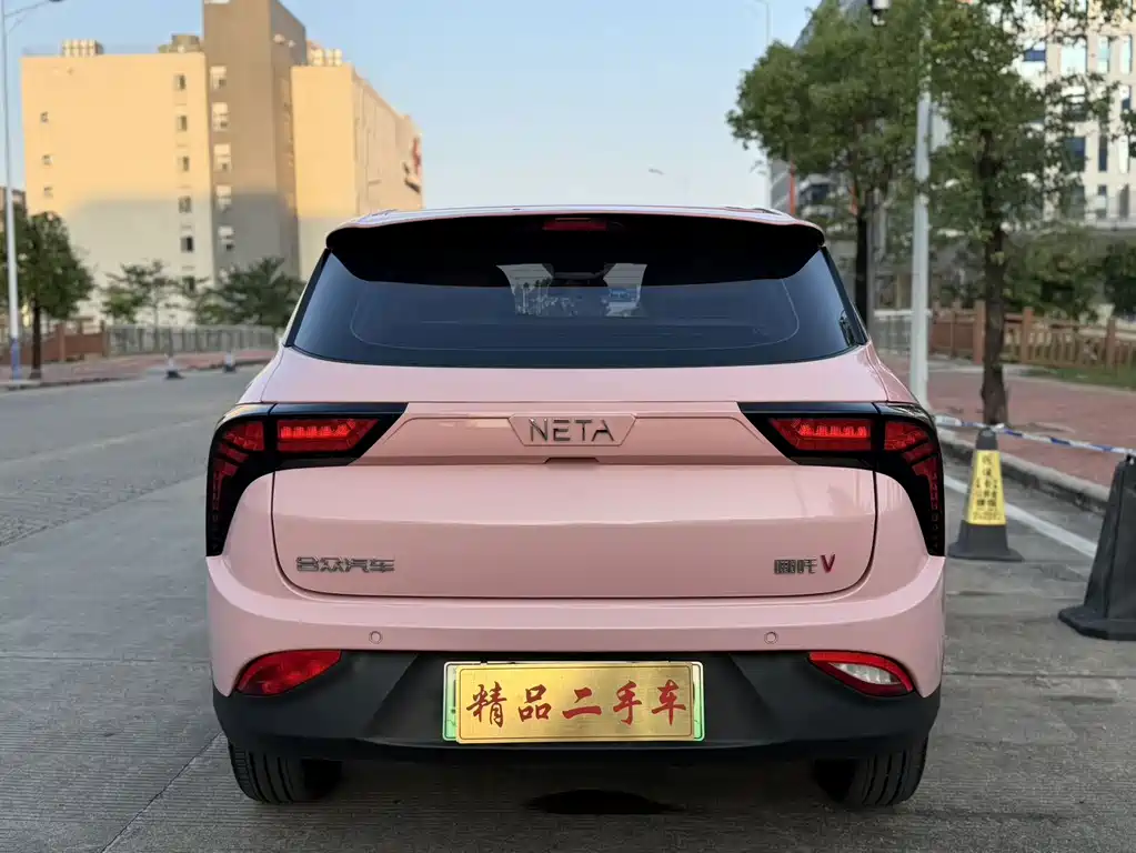 Neta Neta V — миниатюра 5
