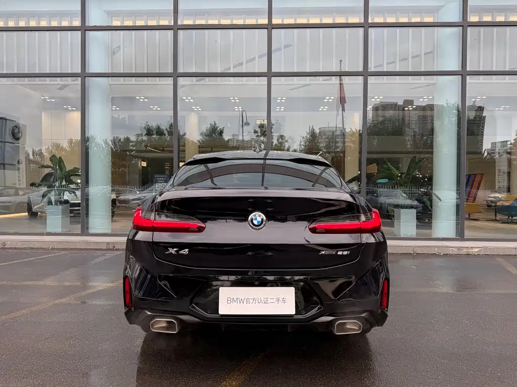BMW X4 — миниатюра 8