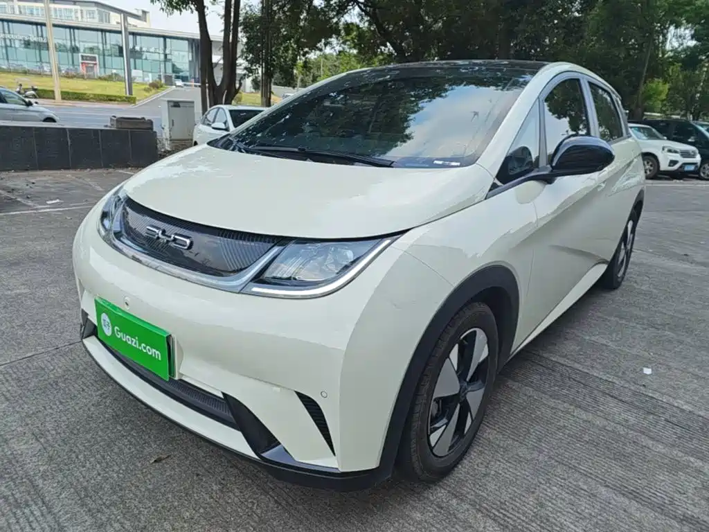 BYD Dolphin