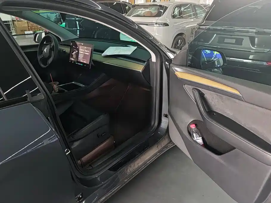 Tesla Model Y — миниатюра 8
