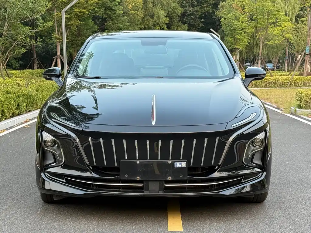 Hongqi Hongqi E-QM5 — миниатюра 2
