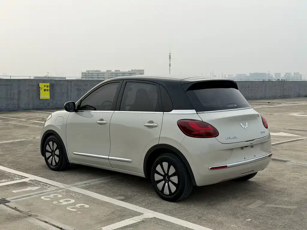 Wuling Binguo 2023 333km
