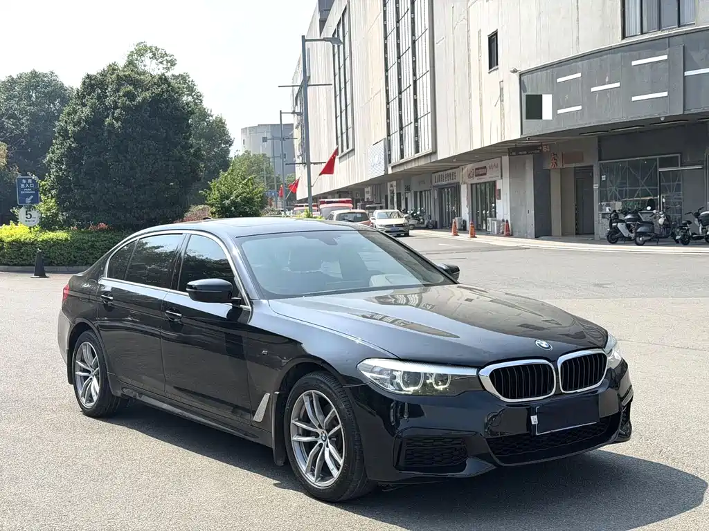 BMW 5 Series — миниатюра 3