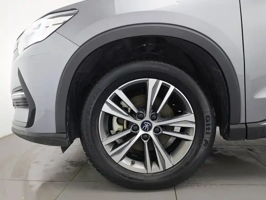 BYD Pro — миниатюра 17