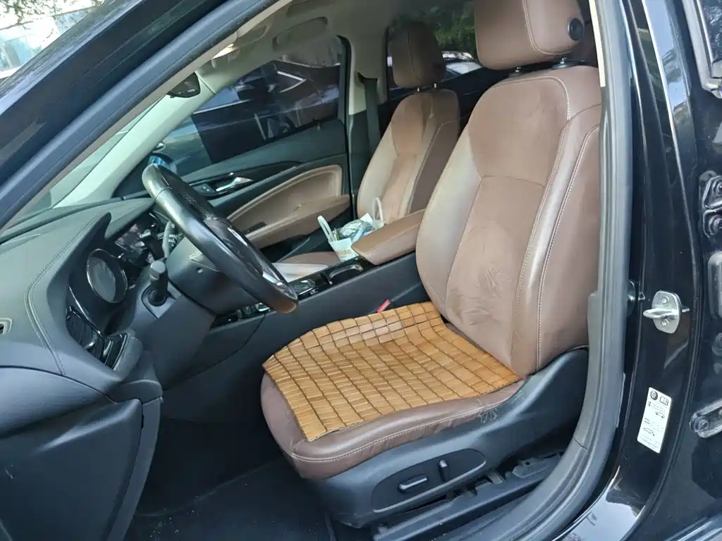 Buick Regal — миниатюра 11