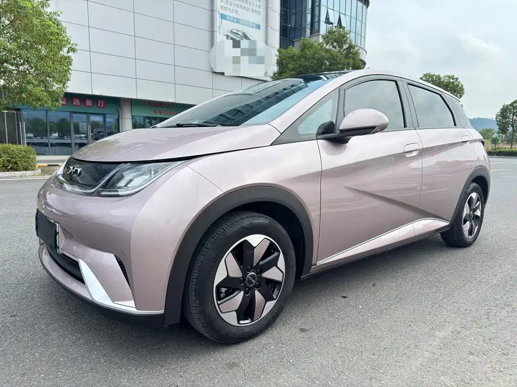 BYD Dolphin