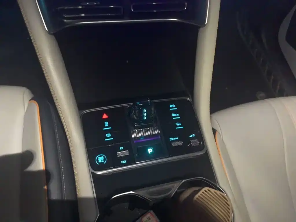 BYD PLUS New Energy — миниатюра 7