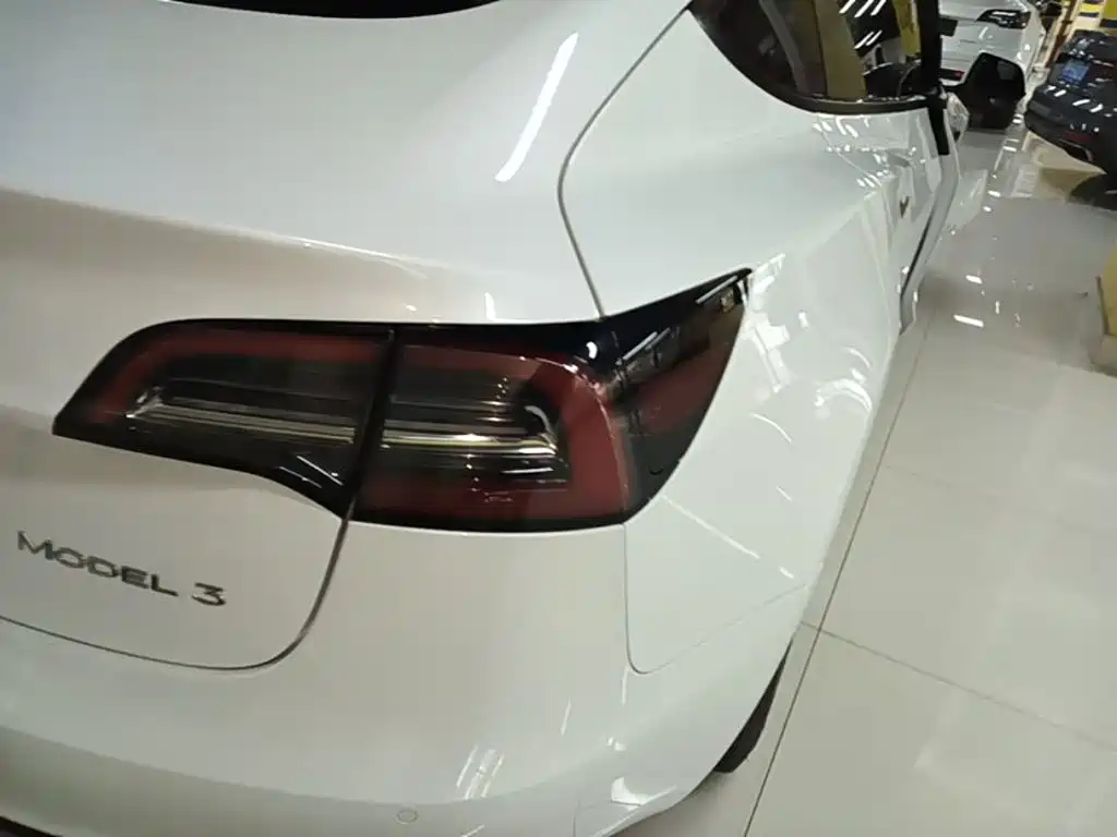 Tesla Model 3 2021 3D1