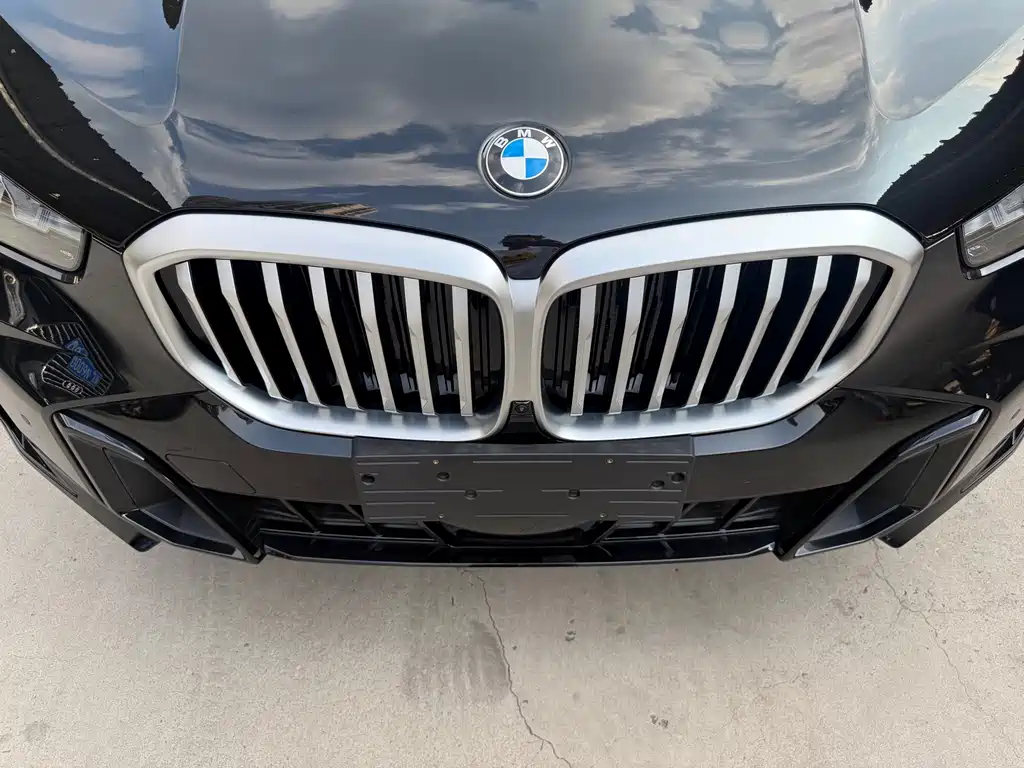 BMW X5 — миниатюра 31