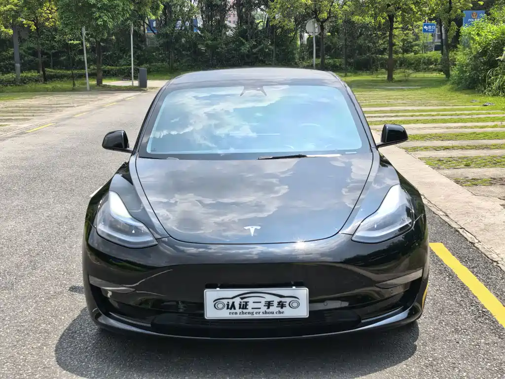 Tesla Model 3 — миниатюра 2