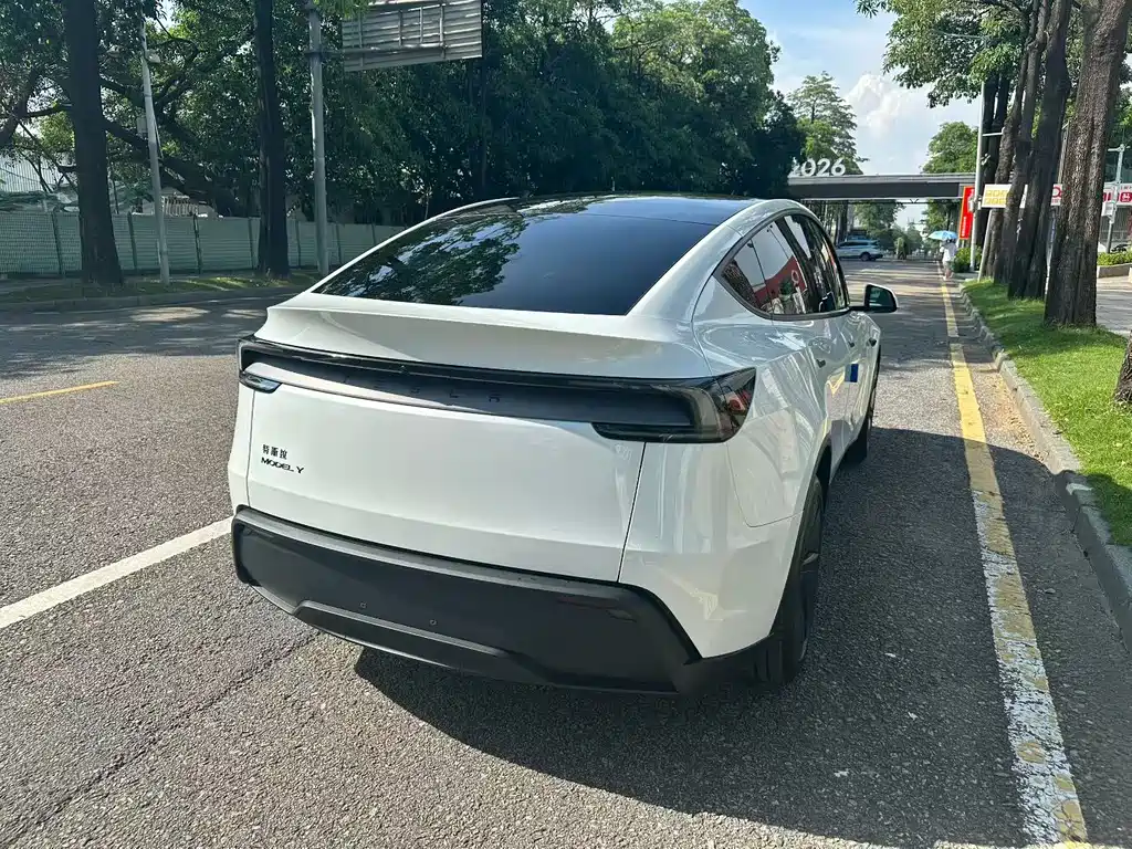 Tesla Model Y — миниатюра 9