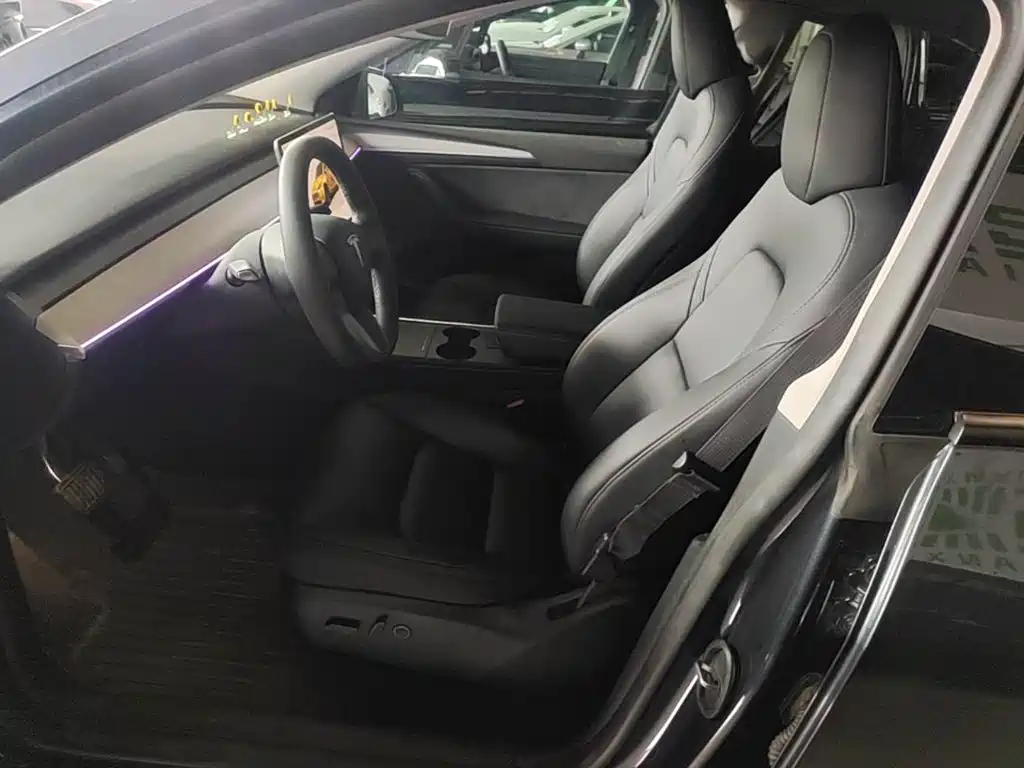 Tesla Model Y — миниатюра 15