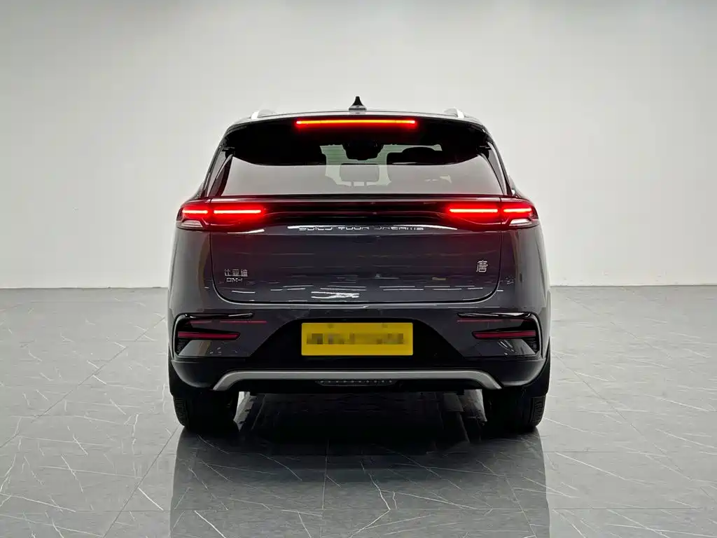 BYD Tang New Energy — миниатюра 5