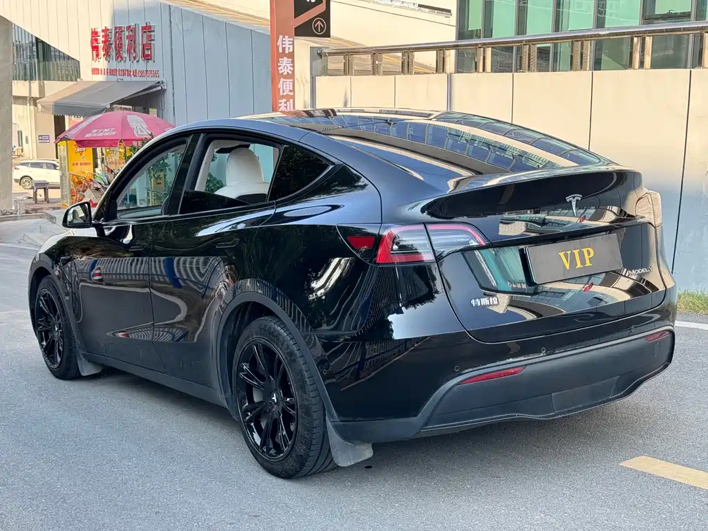 Tesla Model Y — миниатюра 4