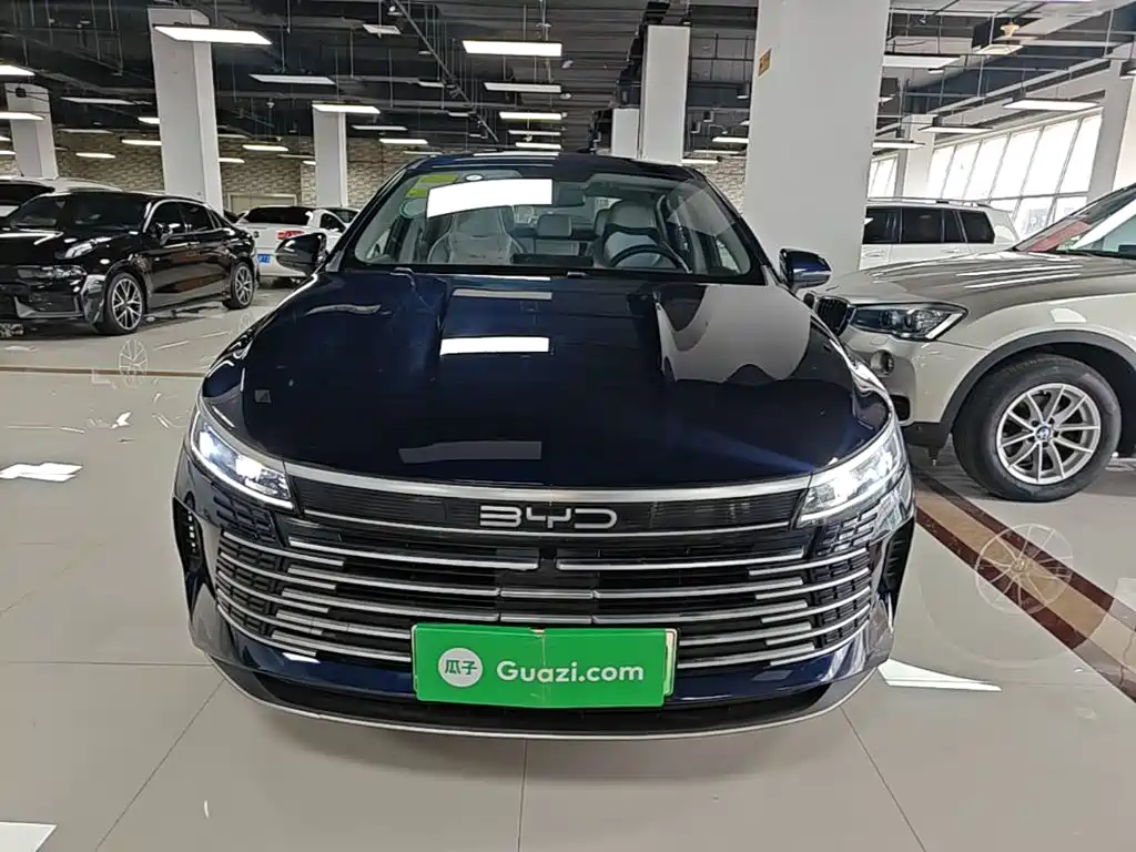 BYD Destroyer 05 2024 DM-i 55KM Luxury