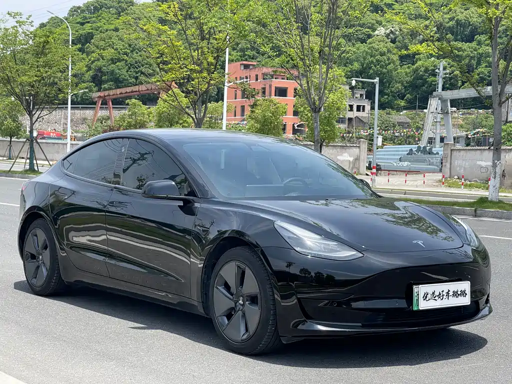 Tesla Model 3 2021