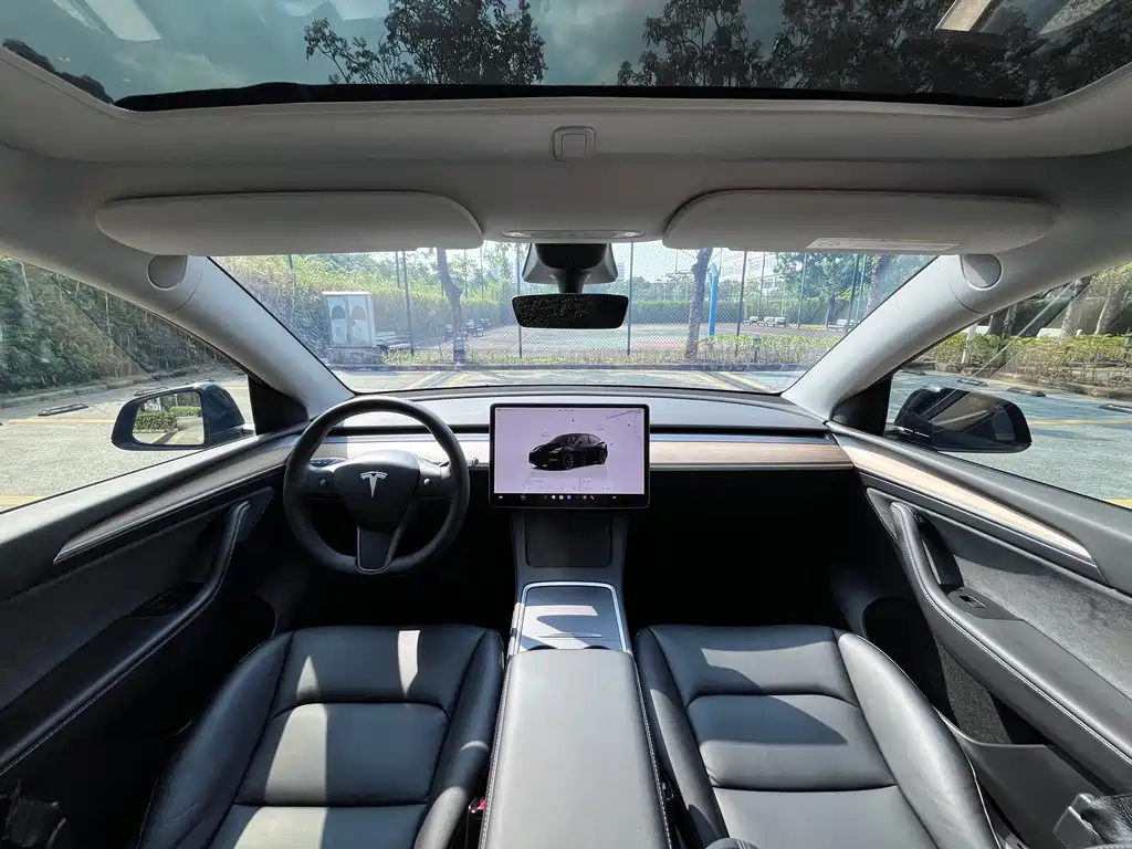 Tesla Model Y — миниатюра 7