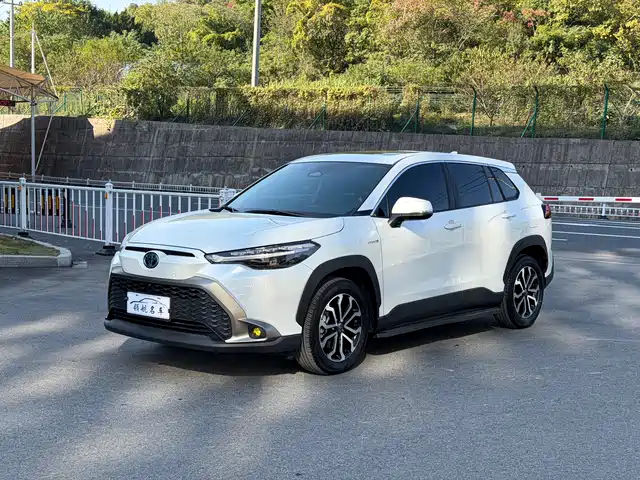 TOYOTA FENGLANDA 2024