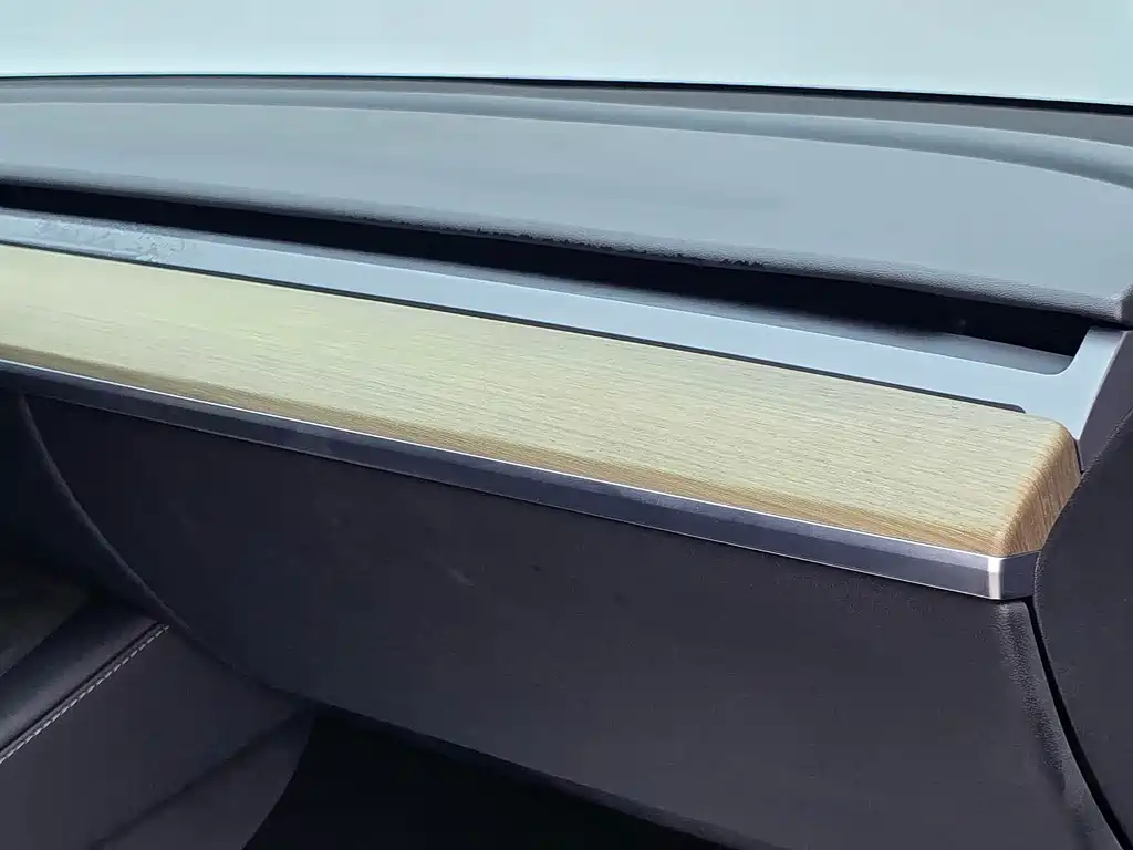 Tesla Model Y — миниатюра 6