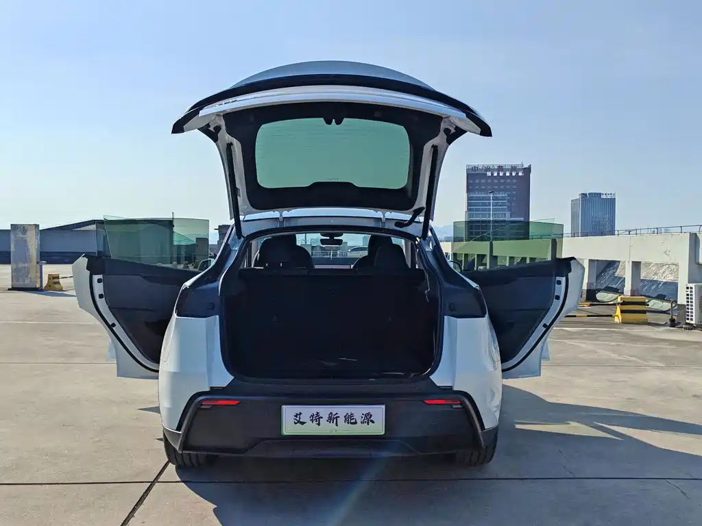 Tesla Model Y — миниатюра 10