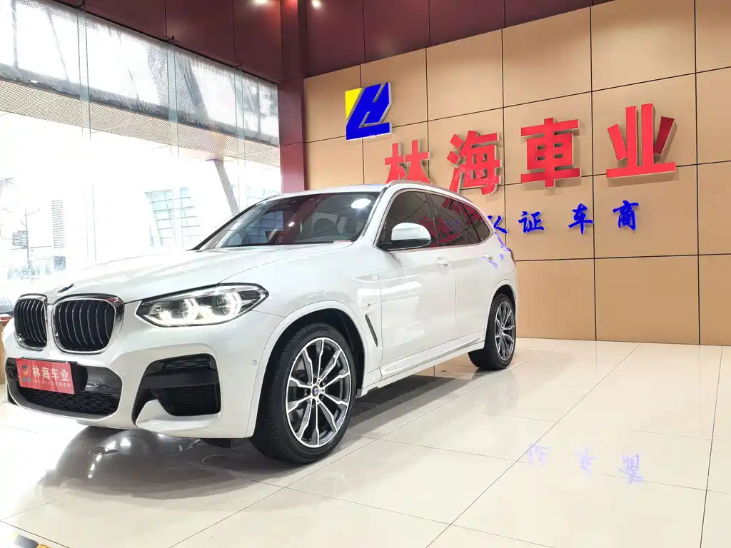 BMW X3 — миниатюра 2