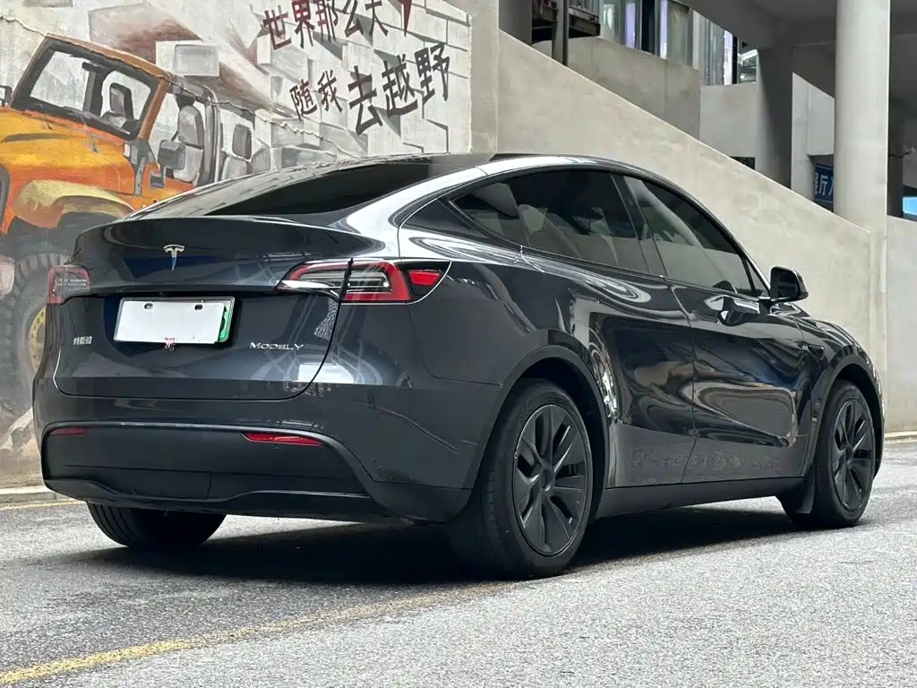 Tesla Model Y — миниатюра 5