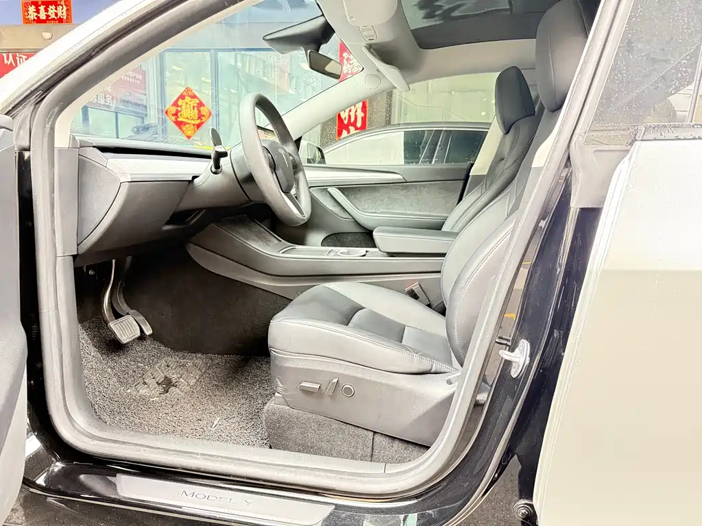 Tesla Model Y — миниатюра 11